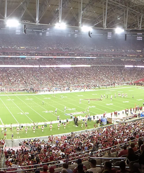 Pro AVL Arizona Cardinals Stadium 500x600 Pro AVL Arizona Cardinals Stadium image
