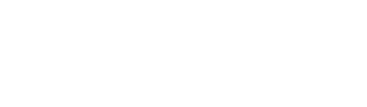 PRO AVL with descriptor logo