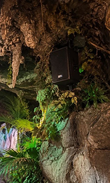 Hidden Meyer Sound Speaker in Theme Park Attraction Meyer Sound attraction loudspeaker concealed within rockwork and vegetation inside a themed ride cavern environment.