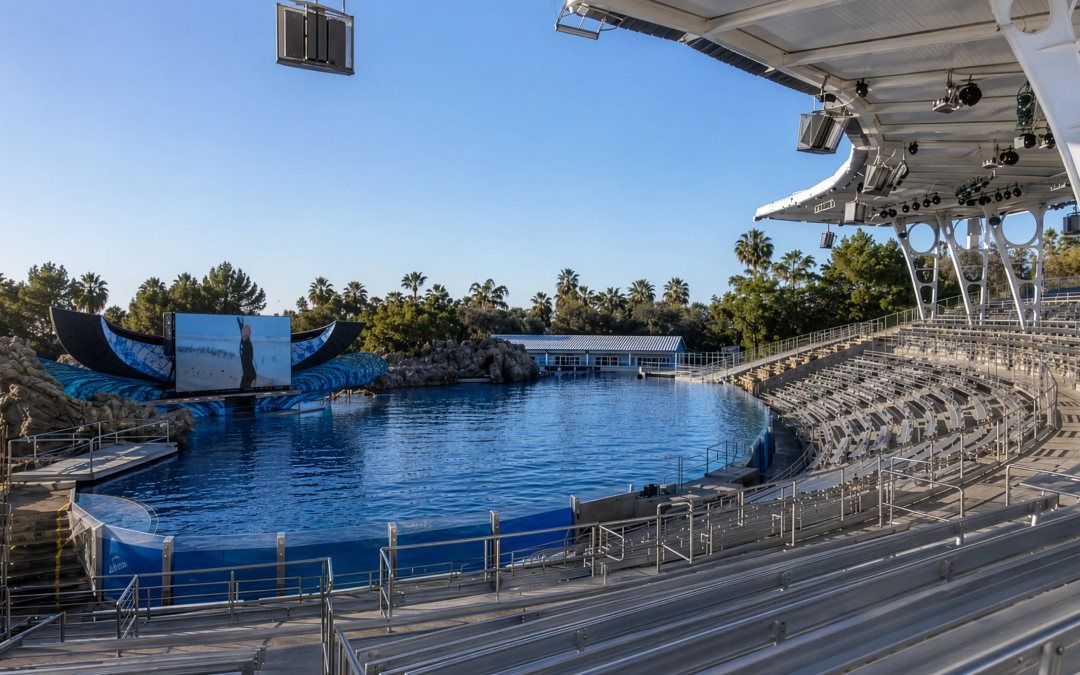 SeaWorld Orca Encounter