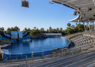 SeaWorld Orca Encounter